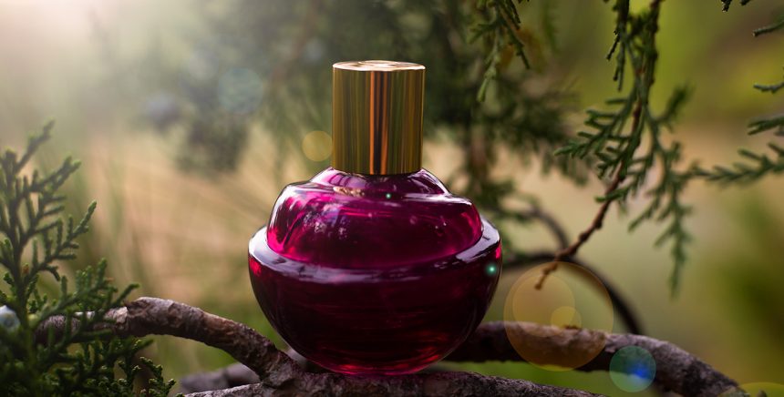 Perfumy drzewne - 10 najlepszych zapachów, które warto poznać