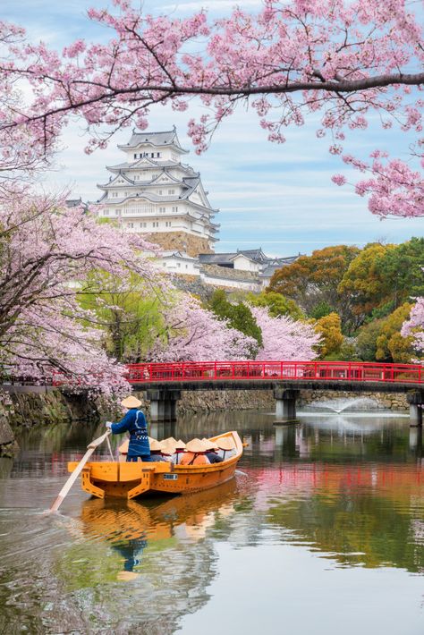 Jak się ubrać do Japonii wiosną