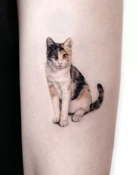 tatuaże z kotami realistyczne