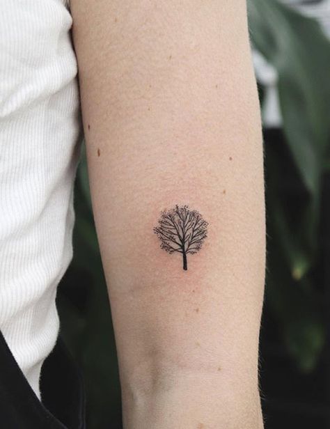 Delikatny tatuaż damski drzewko