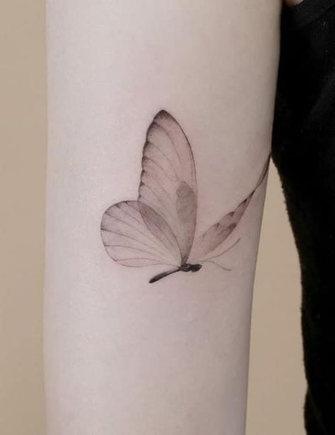 motyl delikatny tatuaż damski