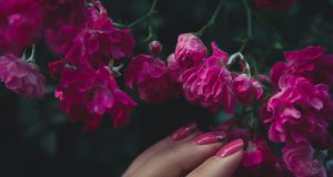 Paznokcie walentynkowe różowe - stylizacje manicure