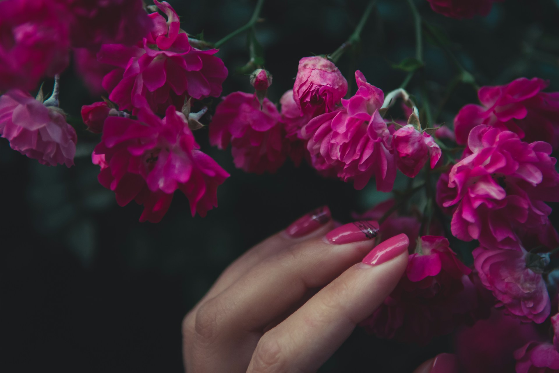 Paznokcie walentynkowe różowe - stylizacje manicure