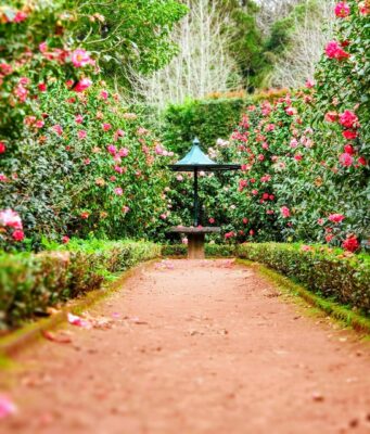 jak urządzić strefę relaksu w ogrodzie